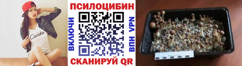 продажа наркотиков Шебекино Галлюциногенные грибы ЛСД